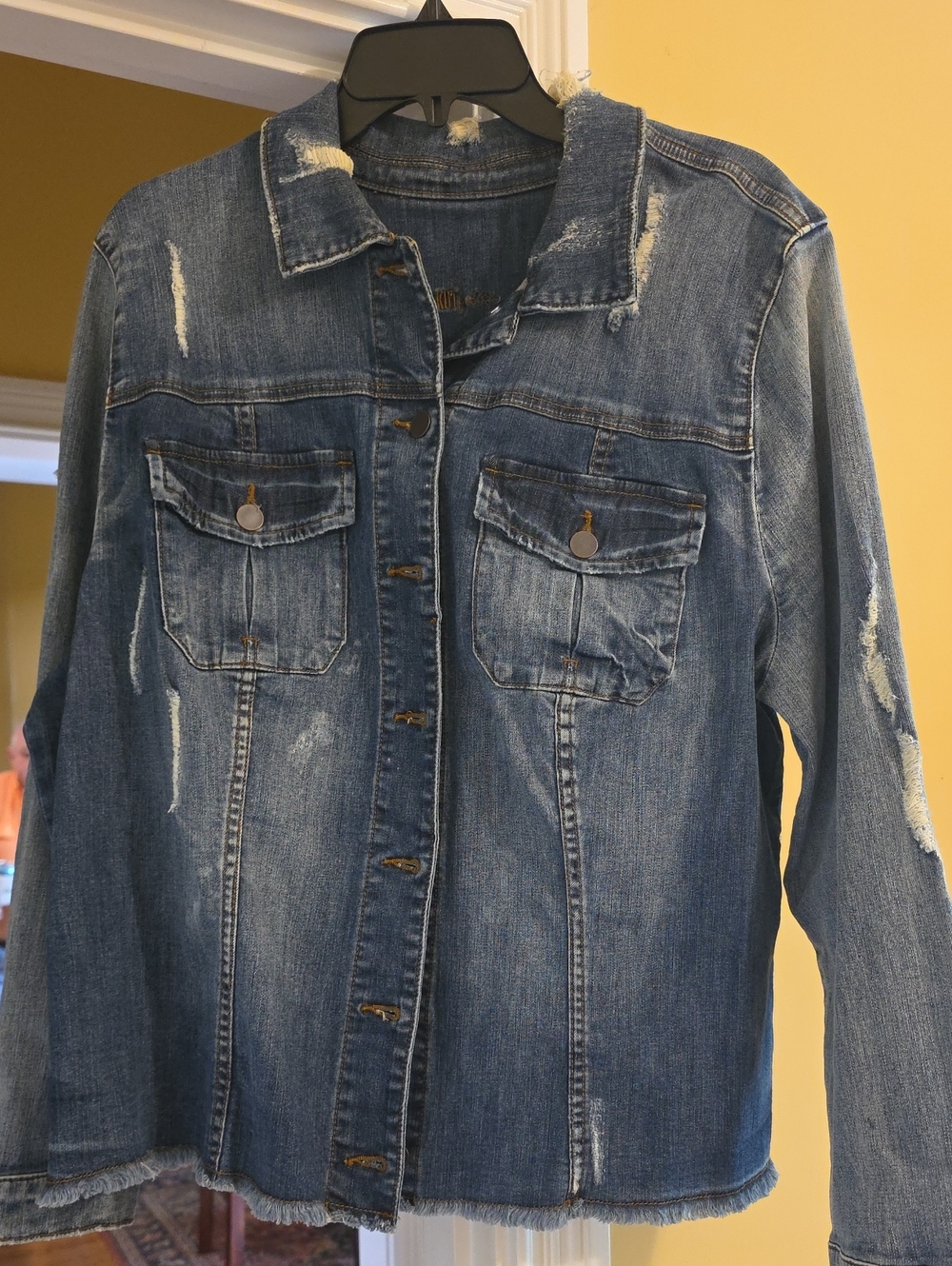 Kut from the Kloth Distressed Blue Denim Jacket